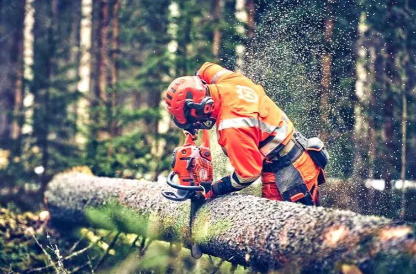 Ланцюг для пили 13"/33 см, 0.325", 56 ланок, 1.5 мм &mdash; Husqvarna X-CUT C35 5816997-56 фото