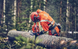 Цепь для пилы 15"/38 см, 0.325", 64 звеньев, 1.5 мм &mdash; Husqvarna X-CUT C35 5816997-64 фото 6