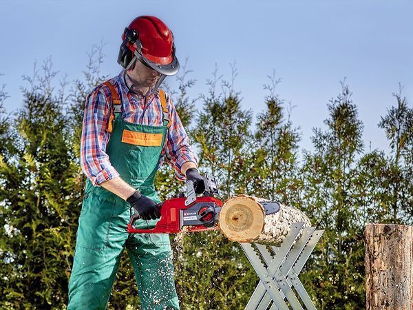 Пила акумуляторна ланцюгова Einhell FORTEXXA 18/30 Kit 4 Ah (4600010K2) 4600010K2 фото