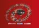 Аккумулятор (5,0 Ah, 20V Max) SKIL BR1E3105AA (BR1E3105AA) 11072600401 фото 3